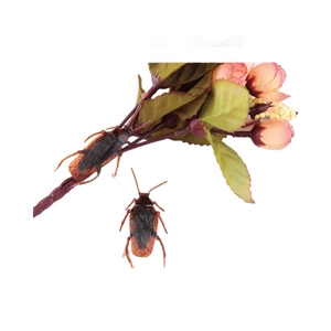 Realistic fake cockroach toys and decorative flower branch on clean white background