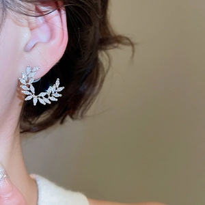 Primo piano di eleganti orecchini a lobo in argento con zirconi a forma di spiga