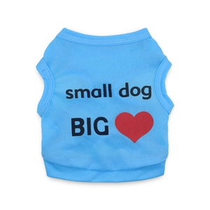 Gilet bleu pour chiens et chats avec imprimé small dog BIG heart sur fond blanc uni