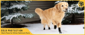 Stivali invernali impermeabili per cani indossati da un Golden Retriever sulla neve