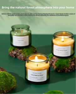Three jars of scented soy wax candles on a mossy base with forest leaf shadow background