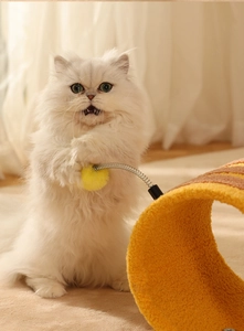 Katze spielt mit Plüschball und orangefarbenem Kratzspielzeug in gemütlichem Zuhause
