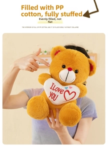 Close-up of brown teddy bear plush with white heart pillow and I LOVE YOU embroidery