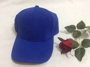 Classic royal blue wide-brim baseball cap with a six-panel dome structure and curved brim