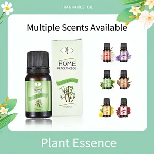 Water Soluble Essential Oil Fragrance Oil For Humidifier Diffuser Soothing Relaxing Pure Plant Extract Home Fragrance
