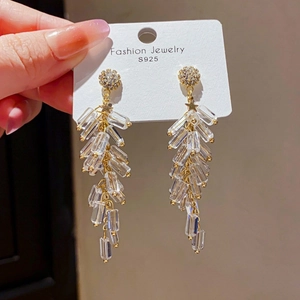 Detail of S925 silver needle drop earrings with sparkling glass crystal tassels