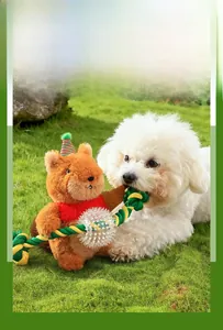 Dog plush squirrel toy with cotton rope and textured ball on outdoor grass