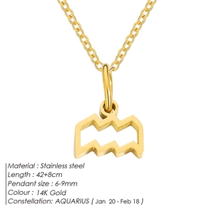 14K gold plated stainless steel Aquarius zodiac constellation pendant necklace jewelry
