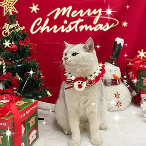 Chat blanc portant un collier de Noël tricoté avec ornement Père Noël en décor de fête