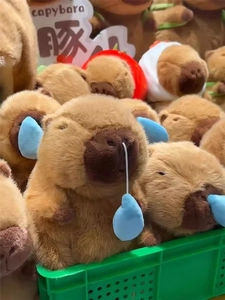 Nahaufnahme süßer Capybara-Plüschtiere mit blauem Wassertropfen in einem Korb