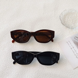 Retro cat-eye sunglasses in black and brown frames on a clean textured background