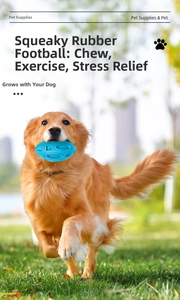 Golden Retriever running on grass with a squeaky blue rubber rugby dog toy in mouth