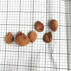 Brown felt leaf patches for Christmas crafts on white grid paper background