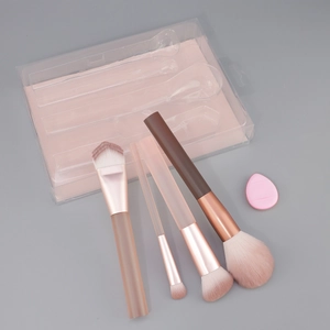 6-piece makeup brush set including 4 brushes and pink sponge in a clear PVC gift box