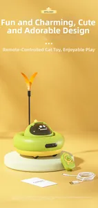 Interactive cat toy set including remote control car, colorful feathers and USB cable