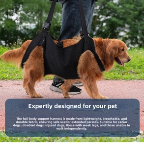 Detail of a black pet walking harness supporting a Golden Retriever on a grassy area