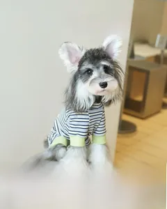 Détail de l'ourlet à cordon réglable sur le vêtement rayé à quatre pattes pour chien