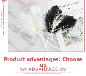 Detailed view of beige ostrich feathers with pearls and lace bows for cake decoration