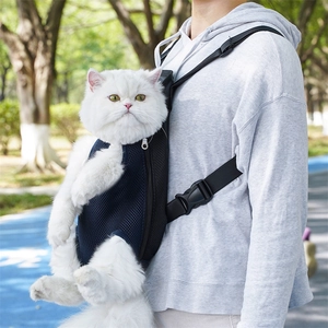 Detail of breathable black mesh pet carrier backpack with adjustable straps and secure buckle
