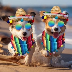 Set de sombrero mexicano y pañuelo a rayas para gatos y perros pequeños en playa