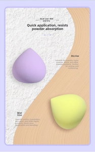 Dual-use makeup sponges for powder and liquid foundation application on artistic backgrounds