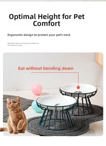 Detail of elevated ceramic cat bowl with metal stand and bone pattern for neck protection
