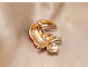 Macro shot of the golden metal backing and secure pin of the rhinestone parrot brooch