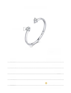 Detail view of 925 sterling silver ring with double moissanite and S925 engraving