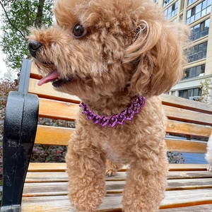 Detail of adjustable purple pet hip hop chain necklace on a small dog outdoors