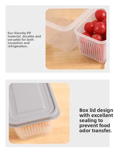 Close-up of double-layer produce saver box with grey lid storing cherry tomatoes