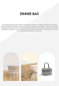 Detailed view of luxury dinner bag featuring silver rhinestones and black handle strap