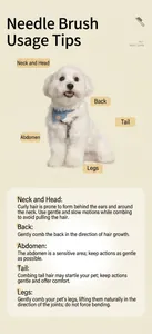 Guida alla toelettatura per cani bianchi con tecniche di spazzolatura professionale