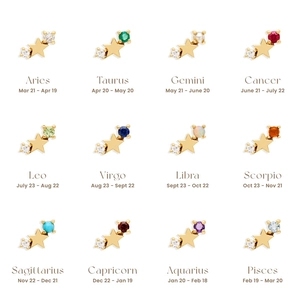 S925 sterling silver zodiac star stud earrings with colorful crystals in 12 styles