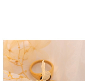 Detailed view of an 18K gold butterfly anklet on soft fabric and dried leaves