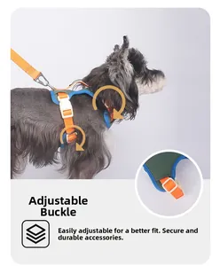 Detail view of the adjustable buckles and secure D-ring on this colorful dog harness
