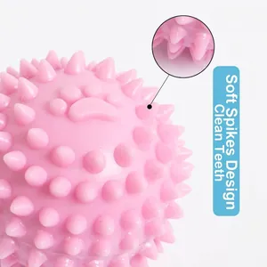 Balle à picots rose en caoutchouc TPR pour le nettoyage des dents et le jeu des chiens