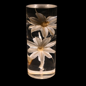 Detailed view of white preserved flowers inside a clear acrylic LED cylinder lamp base