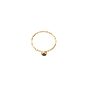 Detailed close-up of a slim gold band ring featuring a round red gemstone setting