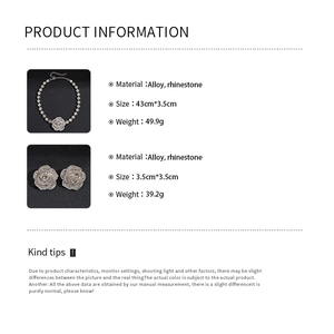 Dimensions détaillées et matériaux de l'ensemble collier et boucles d'oreilles rose argent