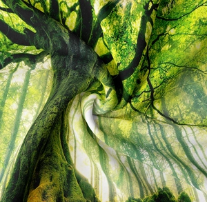 Detailed close-up showing vibrant forest print and soft fabric texture of the hanging tapestry