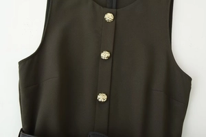 Detailed close-up of olive green sleeveless midi dress with gold lion head metal buttons