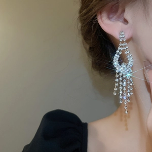 Close-up of silver tassel earrings with sparkling rhinestones worn by a model