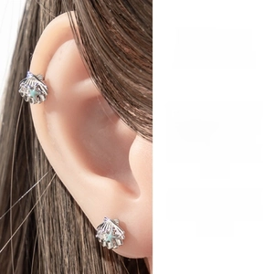 Macro shot of silver shell stud earrings with star details on ear cartilage