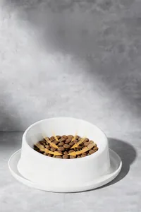 Detailed macro view of large caliber anti-slip ceramic pet bowl with slanted rim design