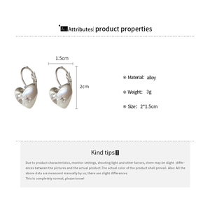 Detailed specs for matte silver heart earrings with star engraving and crystals