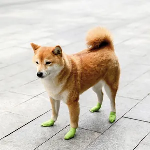 Neon green stretchable pet bandages on a Shiba Inu for outdoor paw protection and cleanliness