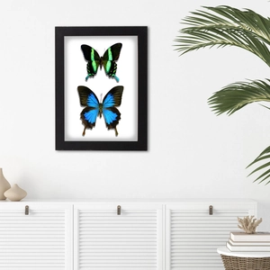 Modern square black wooden frame with lifelike butterflies in a minimalist home setting
