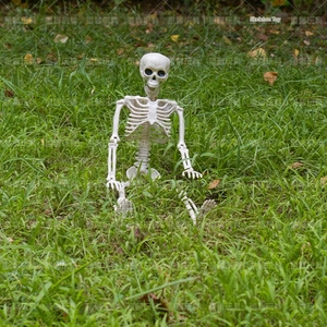Detailed realistic Halloween skeleton decoration with movable joints on grass