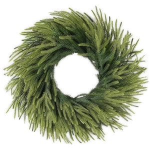 Green realistic Norfolk pine needle wreath for festive Christmas wall and door decoration