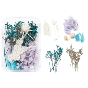 Dettaglio di gipsofila blu essiccata e petali misti in una scatola di plastica chiara